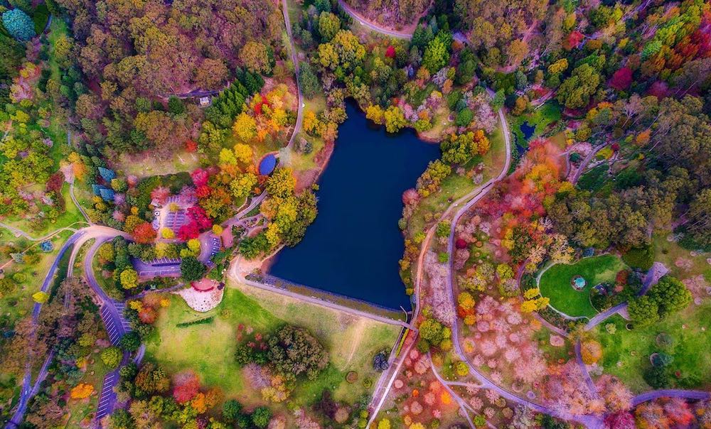 mount-lofty-botanic-garden-michael-waterhouse-photography.jpg