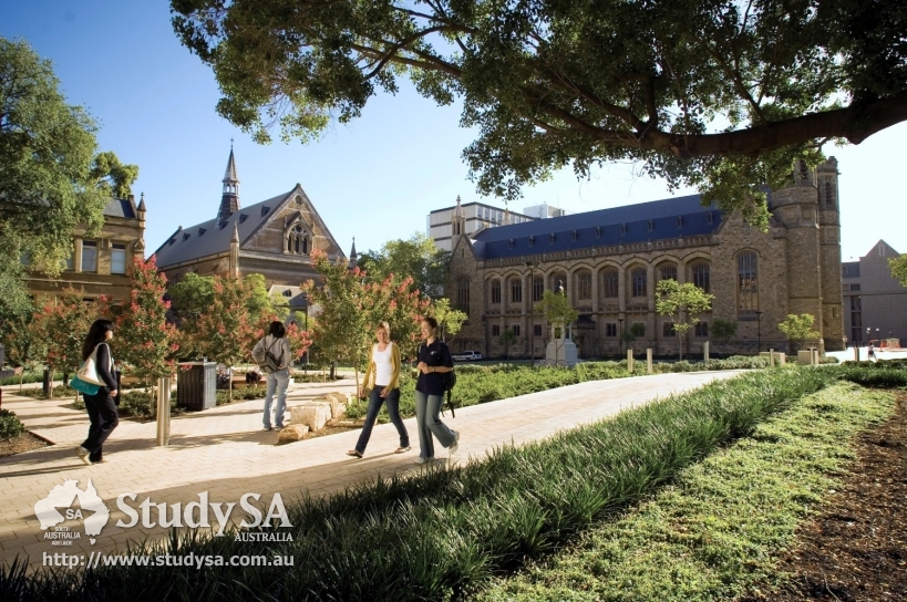 UoA_1.jpg