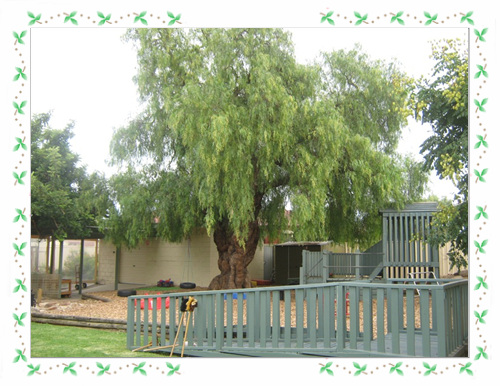kindy2[1].jpg