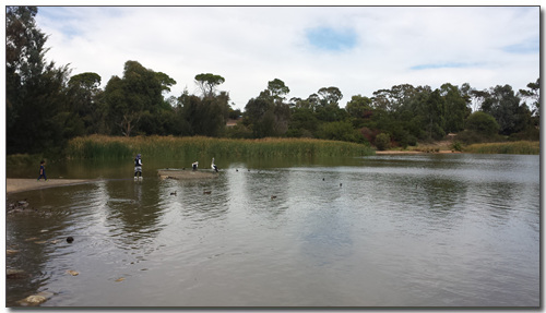 20160314_133025.jpg