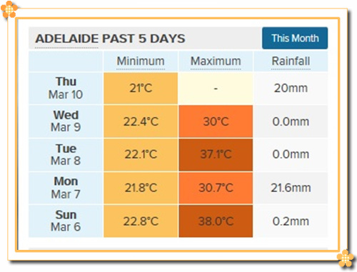 weather3.jpg