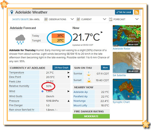 weather1.jpg