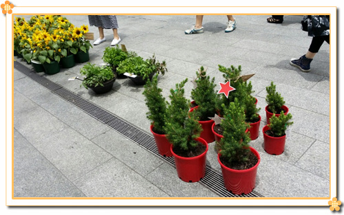 KakaoTalk_20161205_135110822.jpg