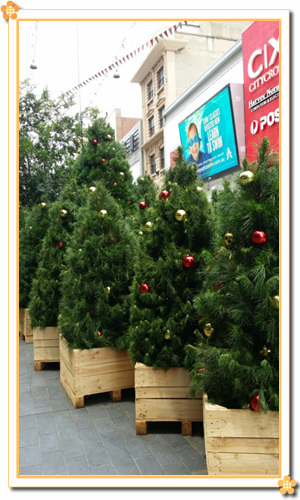 KakaoTalk_20161205_135210663.jpg