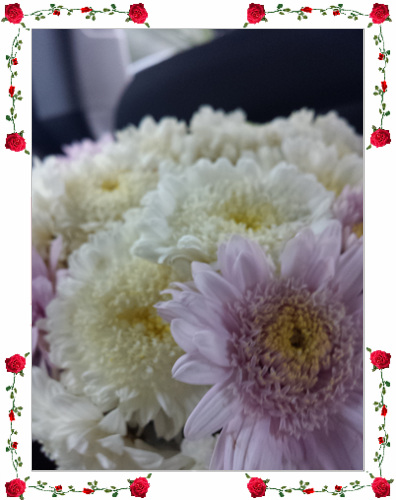 20160508_121403.jpg