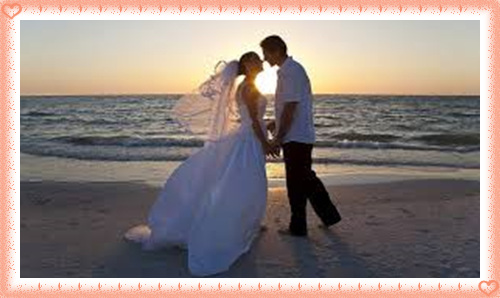 images0P6RC1GD.jpg