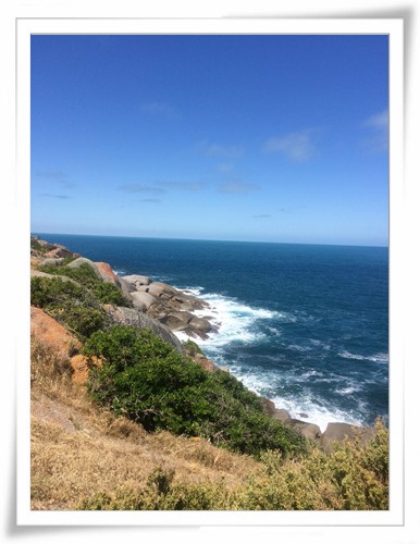 15a1a71458c688fd60f248cbfae8f331[1].jpg