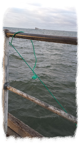 20160325_075005.jpg