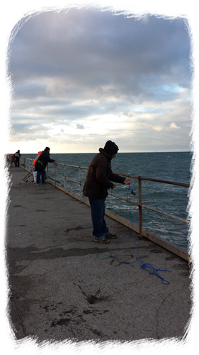 20160325_075210.jpg