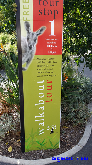 애들레이드_동물원Adelaide_Zoo5.jpg