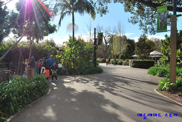 애들레이드_동물원Adelaide_Zoo9.jpg