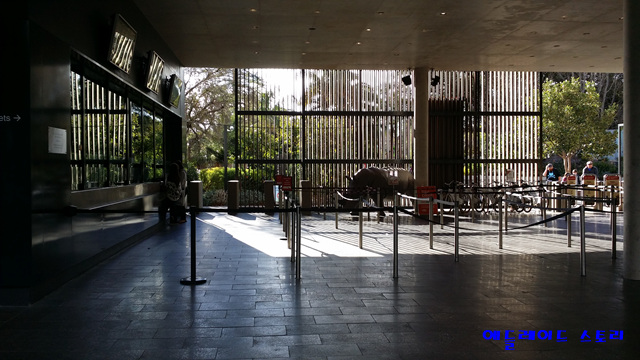 애들레이드_동물원Adelaide_Zoo1.jpg