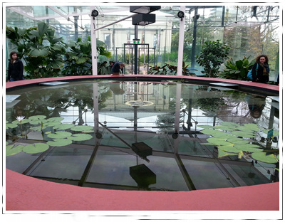 20150829_155425.jpg