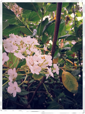20150815_152308.jpg