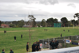 DSC_0407.jpg