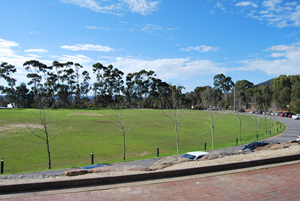 DSC_0814.jpg