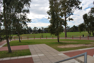 DSC_0746.jpg