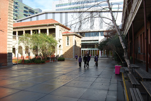 DSC_0255.jpg