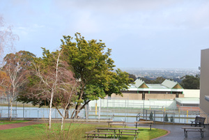 DSC_0586.jpg