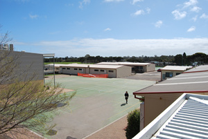 DSC_0037.jpg