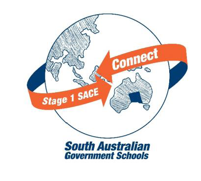 SACE Connect.png