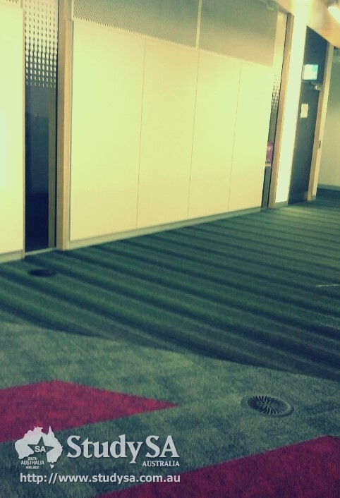 KakaoTalk_20170217_165515757.jpg