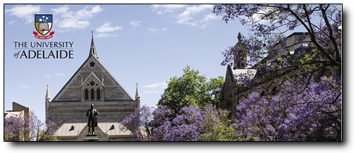 adelaide851[1].jpg