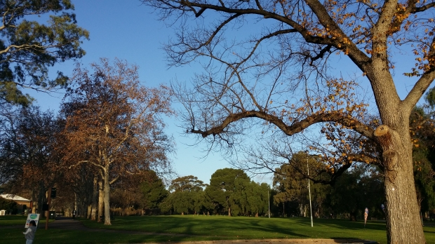 20140706_162312.jpg
