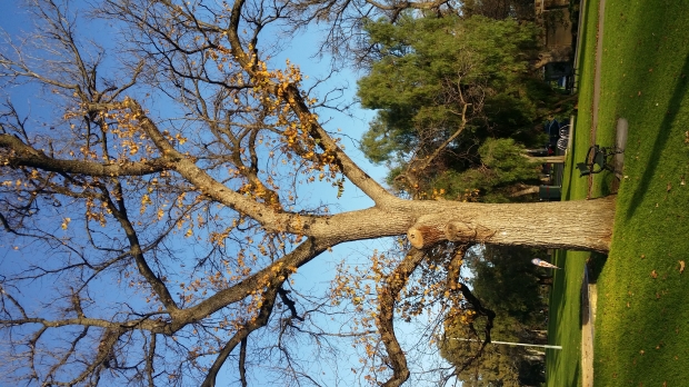 20140706_162323.jpg