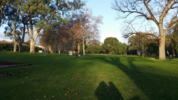 20140706_162140.jpg